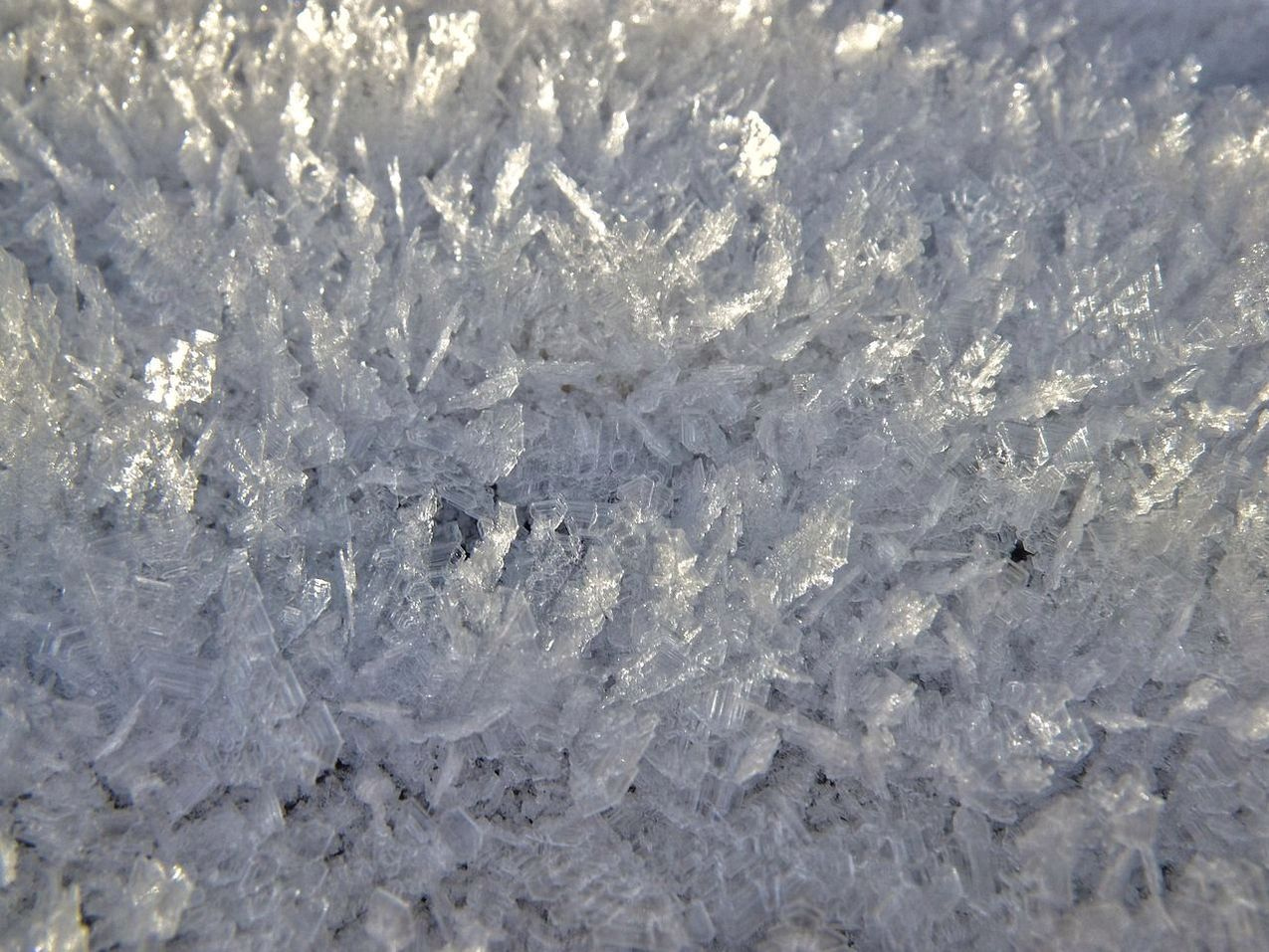 Opción clásica